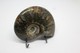 Delcampe - 860 - Raro Fossile Di Ammonite Iridescente Naturale - Provenienza Madagascar Peso 77 Gr - Fossilien