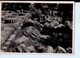 U3739 Postcard 1938 OLYMPIA, TEMPEL DES ZEUS - Archeologie, Archeology, Archeologia _  Nice Timbre - Grecia