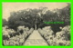 FERNANDINA, FL - ROSE GARDEN, DUNGENESS CARNAGIE'S WINTER RESIDENCE - TRAVEL IN 1912 - - Sonstige & Ohne Zuordnung