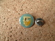 PIN'S   MILITAIRE  A M C R G  SAINT ASTIER  OISEAU PELICAN  COR D'ABONDACE  COQUILLAGE - Army