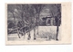 6302 LICH, Partie Aus Dem Schloßgarten Im Schnee, Ca. 1905 - Lich