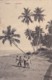 AO51 Ceylon, Sea Shore - Animated, Children - Sri Lanka (Ceylon)