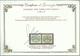 VATICANO VATIKAN VATICAN 1946 SEGNATASSE PIO XII POSTAGE DUE TASSE LINEE LARGHE SERIE COMPLETA MNH CENTRATA CERTIFICATO - Taxes