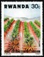 Timbre-poste Gommé Neuf** - Plantation D'ananas Pineapple Plantation - N° 1100 (Yvert) - République Rwandaise 1983 - Neufs