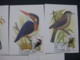 St. Thomas & Prince Is. 1979 Birds Fauna Wildlife Sc 541-7 Max Cards Set Of 7 # 8074 - Other & Unclassified