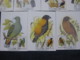 St. Thomas & Prince Is. 1979 Birds Fauna Wildlife Sc 541-7 Max Cards Set Of 7 # 8074 - Other & Unclassified