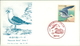 Japan FDC 1991, Waterside Birds, Wasservögel, Vögel Birds Oiseaux, Michel 2068 - 2069 (2576 + 2577) - FDC
