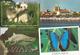 LOT   23 CARTES  CPM  ANIMAUX - 5 - 99 Postcards