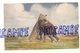 Elephant At Work. Oilette. Raphael Tuck & Sons N° 8902 - Éléphants