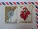 Paquebot Northern Star/Papeete(Tahiti) Postmark/Cook Islands Stamps Cover From 1970,see Pictures - Cook