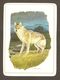 Sportsman Cigarettes Wildlife Trading Card Coyote - Tableau De Daniel Smith Painting - Animals - Animaux - Other & Unclassified