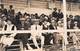 Royan     17      Carte Photo. Spectateurs Dans La Tribune Pendant La Corrida De 1907   (voir Scan) - Royan