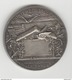 Médaille Paris 1870-1871 - Communications Aériennes - Ministère De La Guerre - Andere & Zonder Classificatie