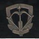 Insigne De Berêt Des Scouts De France Circa 1940 - Other & Unclassified