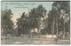 CPA Nigéria Lagos - Avenue De La Marina - Colorisée -  Circulée 1912 - Nigeria