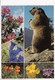 Marmot & Flowers, Germany, 1973 Used Postcard [22333] - Other & Unclassified