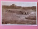 Syrie - Carte Postale - Palmyre - Panorama (Photo Sport - Rue Weygand - Beyrouth) - Syrie