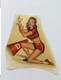 PIN-UPS " Érotique , Sexy , Décalcomanie Ancienne Année 50 " - Stickers