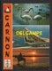 DF / 34 HERAULT / MAUGUIO - CARNON / CARNON-PLAGE / CARTE MULTIVUES / 1987 - Mauguio