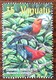 Vanuatu - YT N°1101 - Faune / Oiseaux - 2001 - Oblitéré - Vanuatu (1980-...)