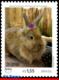 Ref. BR-V2018-09-3 BRAZIL 2018 - ANIMALS, FAUNA, PETS, UPAEP, AMERICA, SERIES, RABBIT, MNH,1V - Unused Stamps