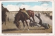 USA, 1936, RODEO - Other & Unclassified