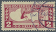 Österreich: 1917, Eilmarken 2 H. Schwarzrotkarmin, Linienmischzähnung 12½:11½, Sauber Gestempelt, Ei - Other & Unclassified