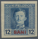 Delcampe - Österreichisch-Ungarische Feldpost - Rumänien: 1917, Siebzehn UNGEZÄHNTE Marken Kaiser Karl 1 H Bis - Other & Unclassified