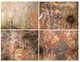 (370) Australia - Aboriginal Art Painting - Aborigènes