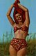 Topless Classic Pin Ups   Pin Up Ups Femme  Bikini  érotisme - Pin-Ups