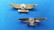 PILOT & CO-PILOT(or Steward) AVIATION SIGNS MARKS JAT AIRWAYS Sign Mark Badge Serbia Airline Airlines - Personeelsbadges