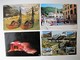 Delcampe - FRANCE - Lot 49 - Lot De 100 Cartes Postales Différentes - 100 - 499 Karten