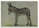 Modern Card - Donkey - Artist Shackleton - Donkeys