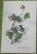 Delcampe - CPA Lot 7x LITHO Relief ART NOUVEAU FANTAISIE Illustrateur Ajoutis Collage Voeux THEME  Feuille Lierre - Colecciones Y Lotes