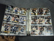 Delcampe - ALBUM 36 Pages Et 630 TRADING CARDS SPORT NHL Pro Set HOCKEY SUR GLACE SAISON 1991/1992 - Other & Unclassified