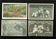 Delcampe - Beau Lot De 60 Cartes Postales Du Famille Royale  Dynasty      Mooi Lot Van 60 Postkaarten Van De Koninklijke Familie - 5 - 99 Postkaarten