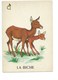 La Biche Faon Chromo Image Carte à Jouer 105 X 73 Mm Bien 2 Scans - Autres & Non Classés