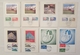 CARTE MAXIMUM - Lot De 8 Cartes 1978-85 Conseil De L'Europe 6 Sur Soie - Strasbourg - Collections, Lots & Series