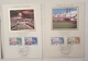 CARTE MAXIMUM - Lot De 8 Cartes 1978-85 Conseil De L'Europe 6 Sur Soie - Strasbourg - Collections, Lots & Series