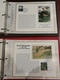 Delcampe - Collection De 600 Documents CEF - Période : 2000/2009 En 5 Classeurs - Prix De Départ : 1€ - Collections