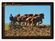 2014  -  USA/Ohio/Amish Country - AK/CP/Postcard - O Gestempelt  -  Siehe Scans (us 2020) - Sonstige & Ohne Zuordnung