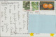 2014 -  USA/Florida/Mount Dora  -  AK/CP/Postcard (Motivkarte)  - O Gestempelt - Siehe Scan (us 2024/us 9001) - Souvenirkarten