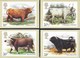 INGHILTERRA - CATTLE (HIGHLANDS COW) 1984 - 5 CARTOLINE  - EDIT. HOUSE OF QUESTA - NUOVE - Francobolli (rappresentazioni)