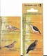 ARGENTINA Year 2000, BIRDS, DOVS, CLOSED BOOKLET WITH 4 AUTOADHESIVE STAMPS - Unused Stamps