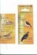 ARGENTINA Year 2000, BIRDS, DOVS, CLOSED BOOKLET WITH 4 AUTOADHESIVE STAMPS - Unused Stamps