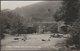 Fingle Bridge, Drewsteignton, Devon, C.1930 - Chapman RP Postcard - Dartmoor