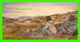 FROBISHER BAY, N.W.T. - MURAL FROM FROBISHER INN'S COLLECTION, ARTIST HENRY EVALUARDJUK - DIMENSION 8 X 17 Cm - - Other & Unclassified