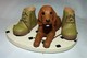 ADORABLE STATUETTE FIGURINE JOLI CHIEN RESINE BEBE COCKER ENTRE DES CHAUSSURES   Tbe - Cani