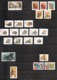 South Africa, Lot Of 49 Used Stamps, Afrique Du Sud, Sud Africa - Usati