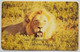 Zimbabwe Lion Z$50 - Zimbabwe